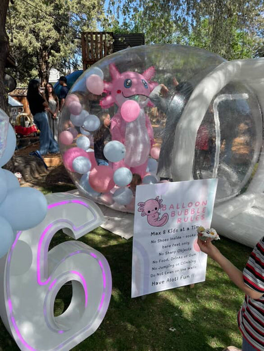 Bubble House